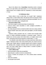 Referāts 'Inflācija un deflācija', 5.