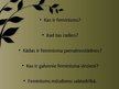 Prezentācija 'Feminisms filosofijā', 2.
