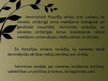 Prezentācija 'Feminisms filosofijā', 6.