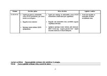 Prakses atskaite 'Aprūpes plāns HOPS slimniekam paasinājuma stāvoklī', 19.