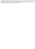 Prezentācija 'Mikelandželo', 16.