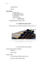 Diplomdarbs 'Ūdens patēriņa starpības rašanās cēloņi, problēmas un risinājumi', 14.