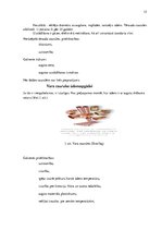 Diplomdarbs 'Ūdens patēriņa starpības rašanās cēloņi, problēmas un risinājumi', 15.