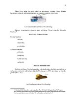 Diplomdarbs 'Ūdens patēriņa starpības rašanās cēloņi, problēmas un risinājumi', 21.