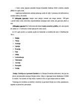 Referāts 'Eiro', 3.