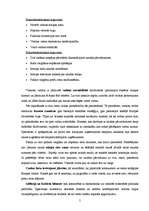 Referāts 'Eiro', 5.