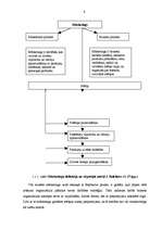 Referāts 'AS "PrivatBank" mārketinga stratēģija', 5.