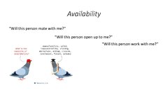 Prezentācija 'What Makes Us Attractive?', 14.