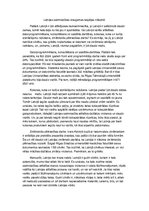 Eseja 'Latvijas saimniecības izaugsmes iespējas nākotnē', 1.