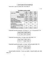 Referāts 'Finanšu Analīze Uzņēmumā "Vanilla Travel"', 5.