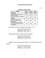 Referāts 'Finanšu Analīze Uzņēmumā "Vanilla Travel"', 7.