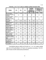 Referāts 'Finanšu Analīze Uzņēmumā "Vanilla Travel"', 13.