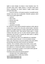 Konspekts 'Ilgtermiņa ieguldījumi', 3.