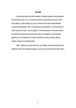 Referāts 'Strādājošo vidējās darba neto samaksas ietekme uz izbraukušo Latvijas iedzīvotāj', 4.