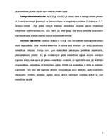 Referāts 'Matemātikas vēsture', 5.