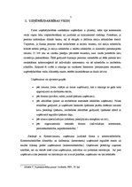 Referāts 'Uzņēmējdarbības veidi un to struktūra', 7.