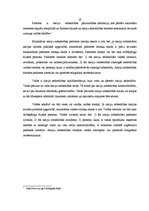 Referāts 'Uzņēmējdarbības veidi un to struktūra', 19.