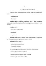 Referāts 'Uzņēmējdarbības veidi un to struktūra', 35.