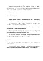 Referāts 'Uzņēmējdarbības veidi un to struktūra', 40.