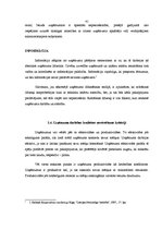 Referāts 'Uzņēmējdarbības veidi un to struktūra', 41.