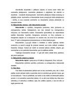 Konspekts 'Autortiesību astoņi galvenie elementi', 5.