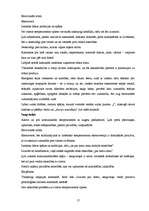 Referāts 'Personības attīstība un socializācijas process', 17.