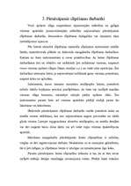 Referāts 'Portatīvie rokas elektroinstrumenti', 7.