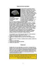 Referāts 'Sinestēzija', 2.