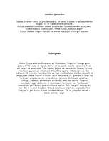 Referāts 'Ināras Druvas dzejoļu krājums "Kamēr"', 9.