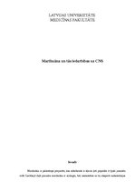 Referāts 'Marihuāna un tās iedarbības uz centrālo nervu sistēmu', 1.