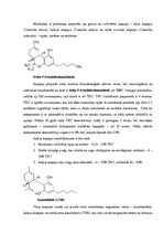 Referāts 'Marihuāna un tās iedarbības uz centrālo nervu sistēmu', 3.