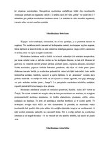 Referāts 'Marihuāna un tās iedarbības uz centrālo nervu sistēmu', 4.