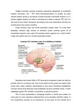 Referāts 'Marihuāna un tās iedarbības uz centrālo nervu sistēmu', 6.