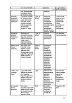 Referāts 'Medikamenti un zāļu tējas imunitātes stiprināšanai', 13.