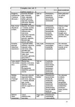 Referāts 'Medikamenti un zāļu tējas imunitātes stiprināšanai', 14.