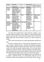 Referāts 'Medikamenti un zāļu tējas imunitātes stiprināšanai', 16.