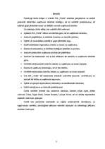 Referāts 'SIA "Triāls" attīstības stratēģija', 3.