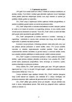 Referāts 'SIA "Triāls" attīstības stratēģija', 4.