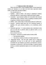 Referāts 'SIA "Triāls" attīstības stratēģija', 6.