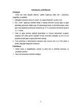 Referāts 'SIA "Triāls" attīstības stratēģija', 8.