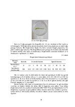 Diplomdarbs 'Vides parametru loma "Ulva intestinalis"
 kultivēšanā laboratorijas apstākļos', 38.