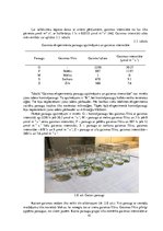 Diplomdarbs 'Vides parametru loma "Ulva intestinalis"
 kultivēšanā laboratorijas apstākļos', 41.