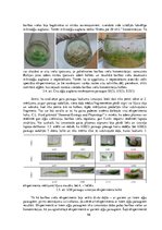 Diplomdarbs 'Vides parametru loma "Ulva intestinalis"
 kultivēšanā laboratorijas apstākļos', 46.