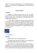 Referāts 'Zibatmiņa un tās dažādās variācijas', 4.