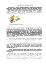 Referāts 'Zibatmiņa un tās dažādās variācijas', 10.