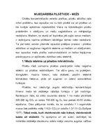 Referāts 'Mijiedarbība: pilsētvide - mežs', 2.