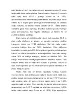 Referāts 'Mijiedarbība: pilsētvide - mežs', 4.