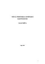 Referāts 'Vietas komplekss raksturojums - Salacgrīva', 1.
