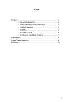 Referāts 'Vietas komplekss raksturojums - Salacgrīva', 2.