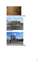 Referāts 'Vietas komplekss raksturojums - Salacgrīva', 10.